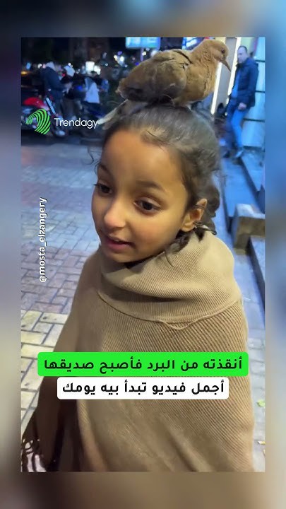 طفلة مصرية تعتني بعصفور مريض… قصة إنسانية تتحول إلى رمز للرحمة