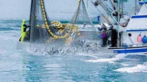 اتفاق عالمي جديد لسلامة السفن الصيادية يدخل حيز التنفيذ بعد اكتمال النصاب الدولي